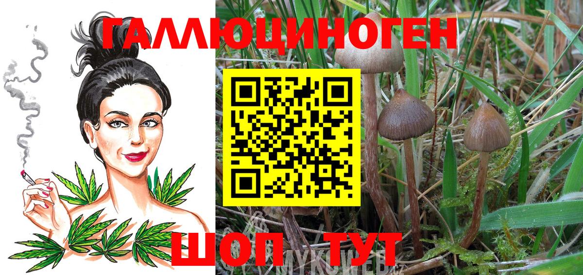 Галлюциногенные грибы Magic Shrooms  Галлюциногенные грибы Psilocybe  Каменка  Вход с VPN 