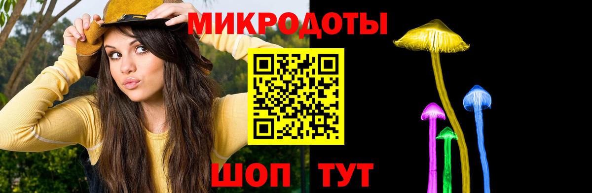 Псилоцибиновые грибы Cubensis Каменка