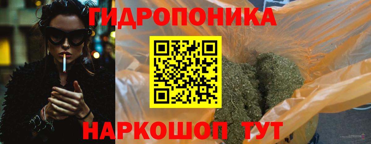 Бошки Шишки Ganja  Вход с VPN  Каменка  Бошки марихуана Amnesia  Марихуана планчик 